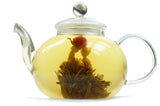 Chinese Dragon Flower Tea flowering in a glass teapot